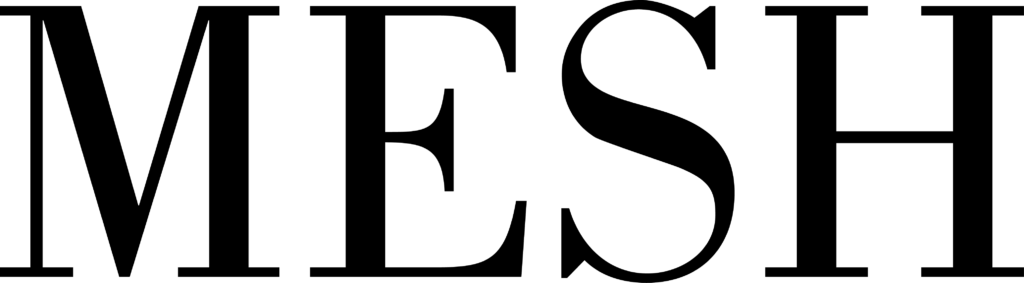 logo mesh