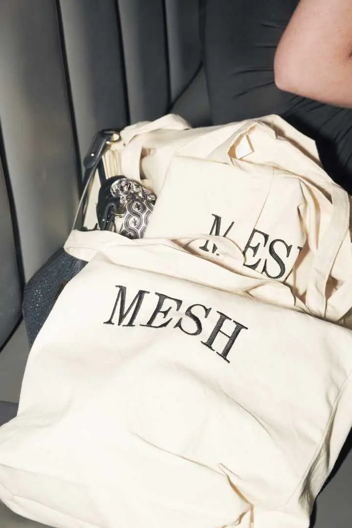 MESH stigao u Hrvatsku